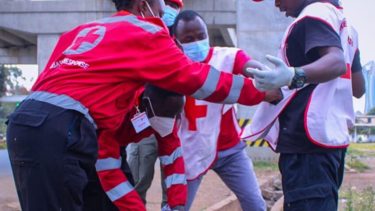 Kenya Red Cross Recruitment 2025/2026 Portal | Application Form